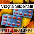 Viagra Sildenafil 05